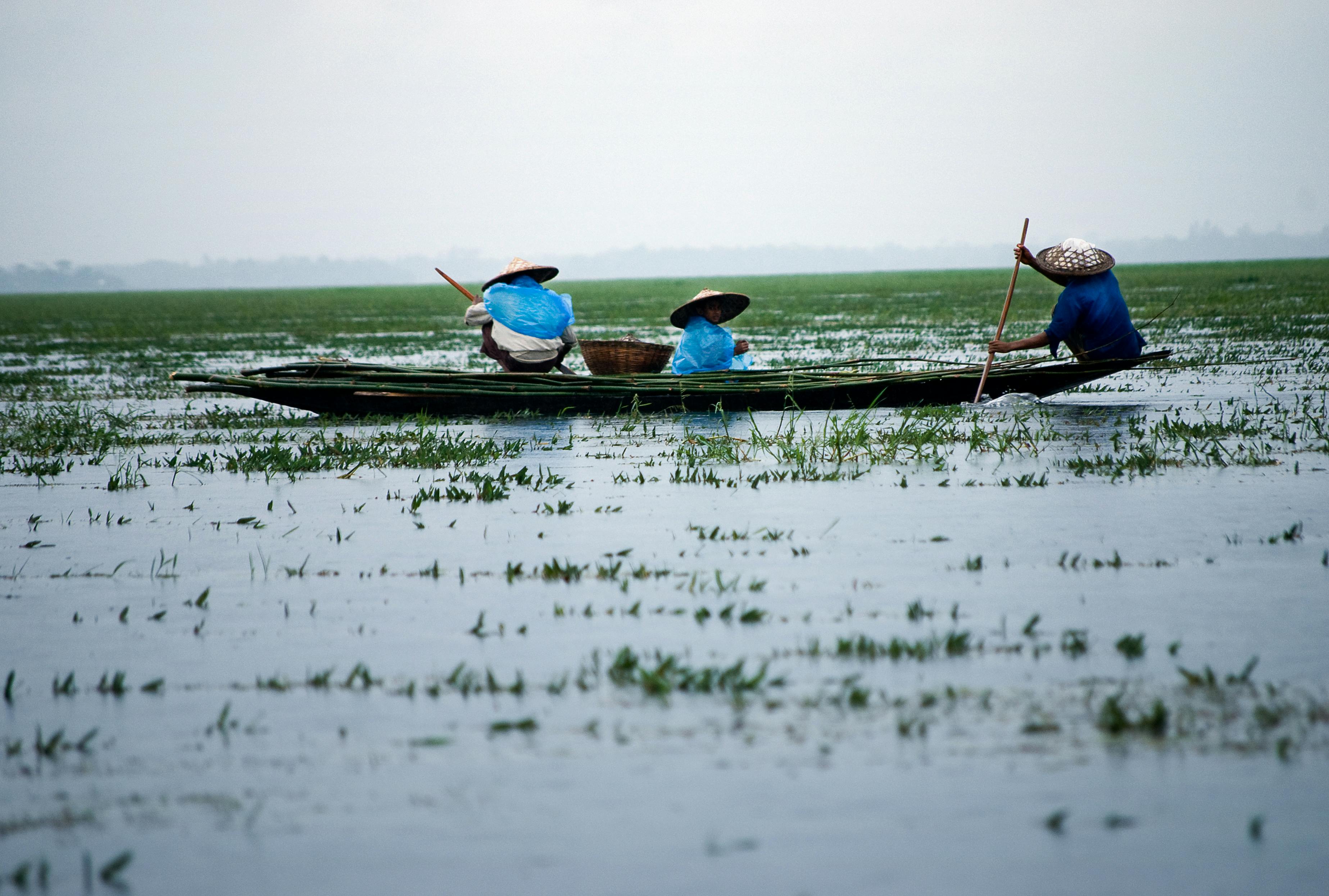 Sreemangal Nature & Wildlife Tour Bangladesh 